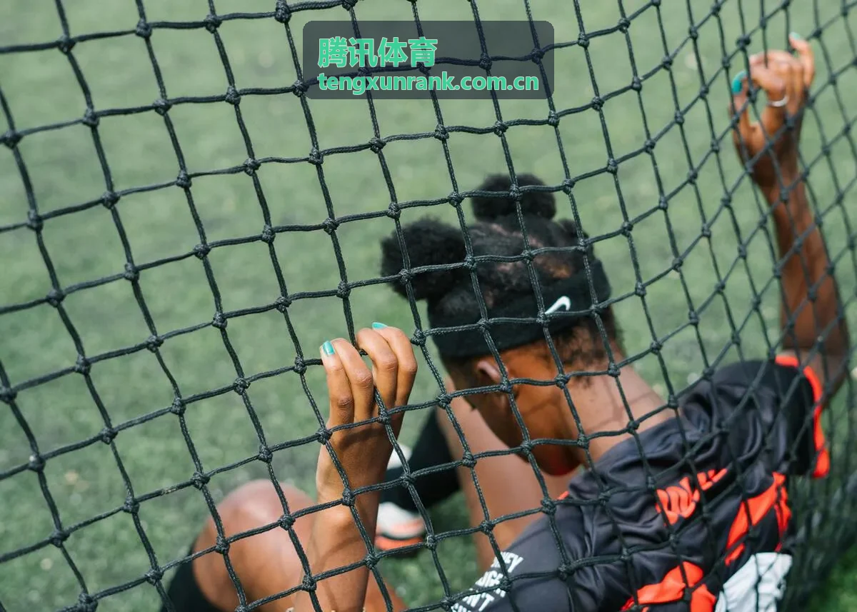 腾讯体育奥运数据趋势